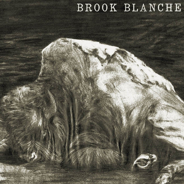 Brook Blanche : Brook Blanche  (LP, Album)