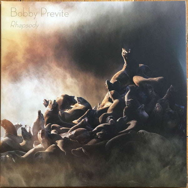 Bobby Previte : Rhapsody (2xLP, Album)