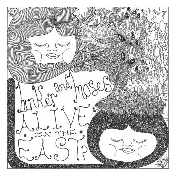 Binker And Moses : Alive In The East? (LP,Album)