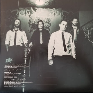 Bayside : Acoustic Volume 2 (LP,Limited Edition)