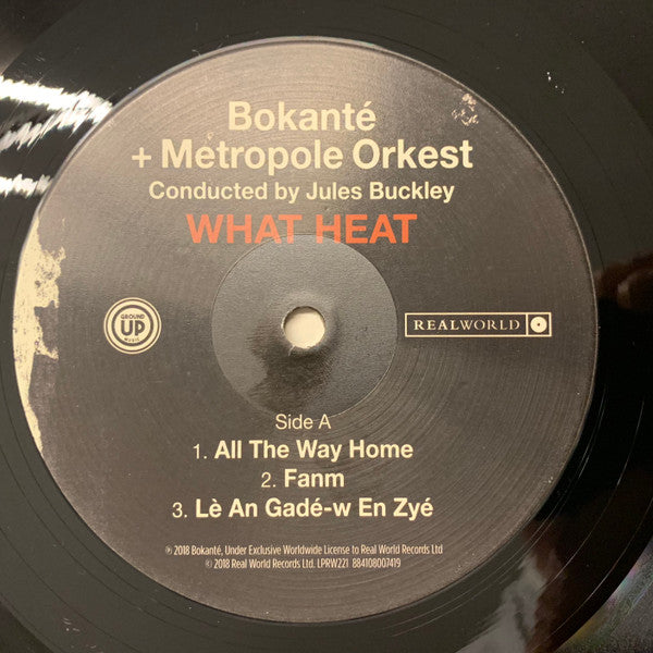 Bokanté + Metropole Orchestra Conducted By Jules Buckley : What Heat (2xLP, Album)