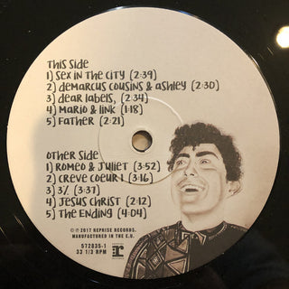 Hobo Johnson : The Rise Of Hobo Johnson (LP, Album)