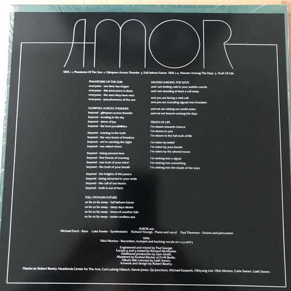 AMOR (17) : Sinking Into A Miracle (LP, Album)