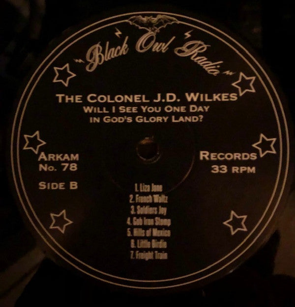 J.D. Wilkes : Will I See You One Day In God's Glory Land? (LP,Album)