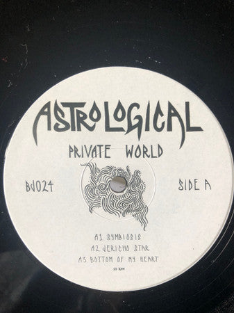 AstroLogical (2) : Private World  (12", EP)