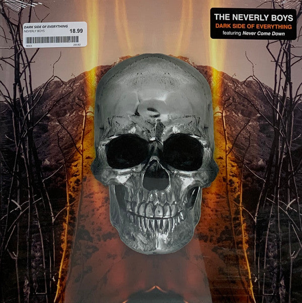 The Neverly Boys : Dark Side Of Everything (LP,Album)