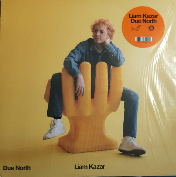 Liam Kazar : Due North (LP,Album)