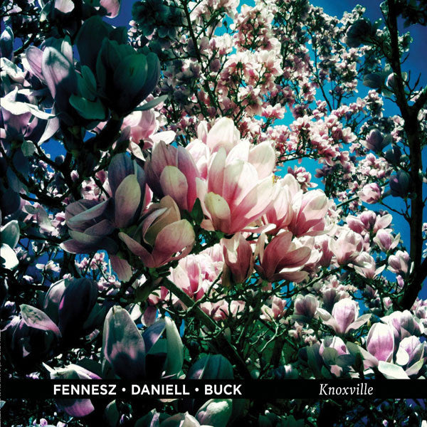 Fennesz • David Daniell • Tony Buck : Knoxville (LP, Album, Ltd)