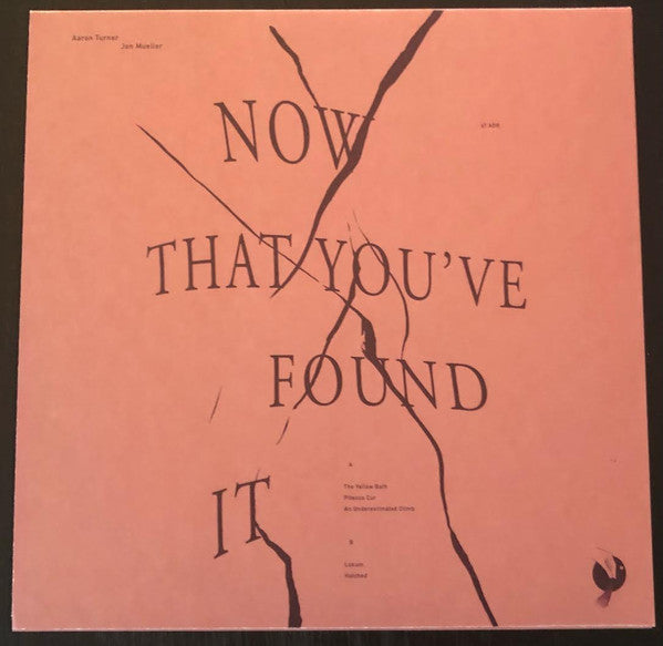 Aaron Turner &  Jon Mueller : Now That You've Found It (LP, Album)