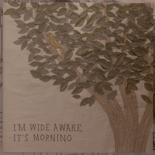 Bright Eyes : I'm Wide Awake, It's Morning (LP,Album,Reissue)