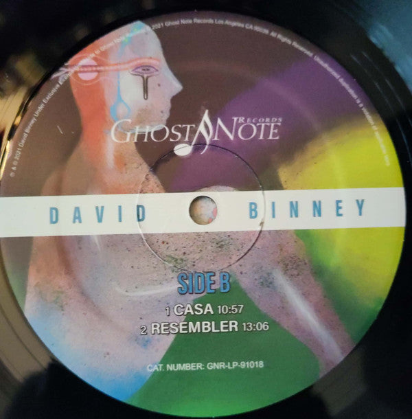 David Binney : Tomorrow's Journey (LP,Stereo)