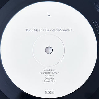 Buck Meek : Haunted Mountain (LP, Album)