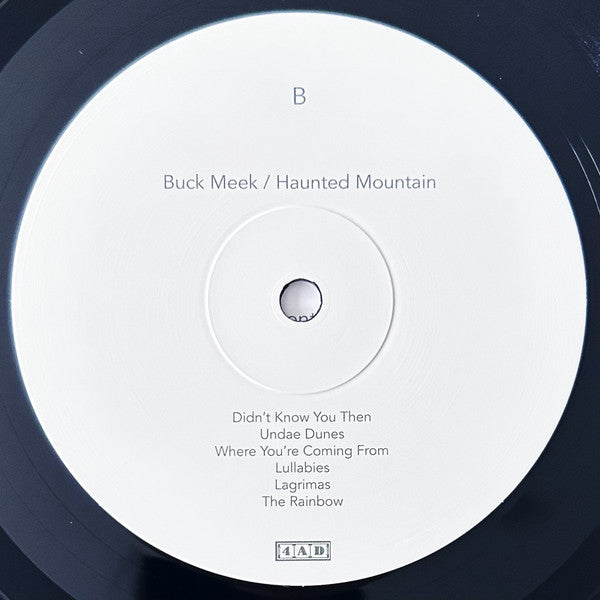 Buck Meek : Haunted Mountain (LP, Album)