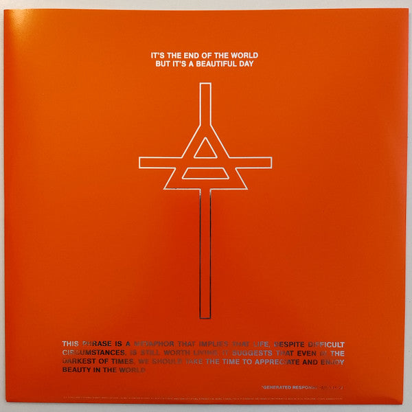 30 Seconds To Mars : It's The End Of The World But It's A Beautiful Day (LP,Album,Limited Edition,Stereo)