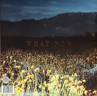 Brittany Howard : What Now (LP,Album)