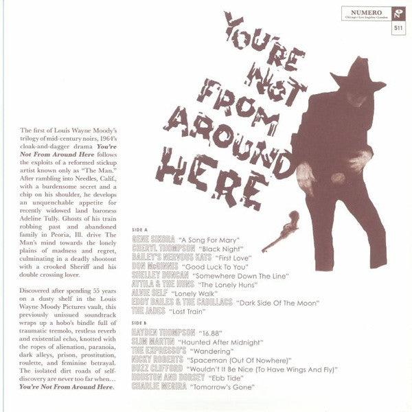 Various : You're Not From Around Here (LP,Compilation,Reissue)