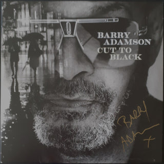 Barry Adamson : Cut To Black (LP,Album)