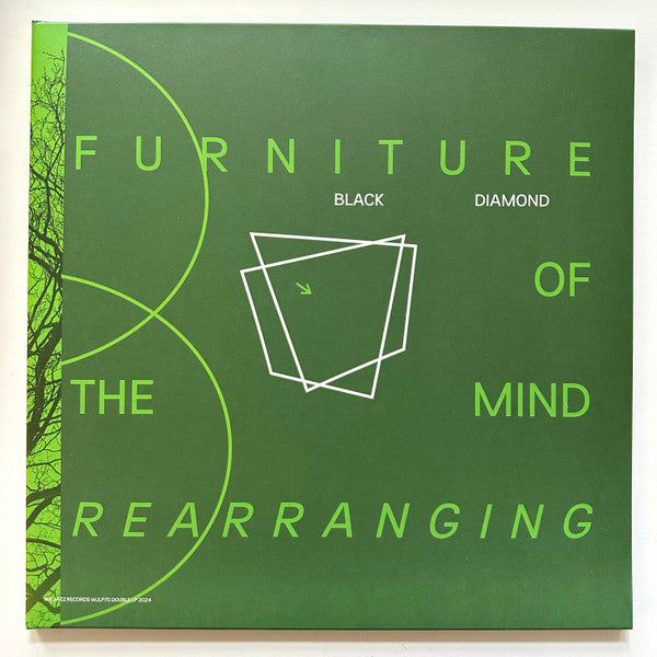 Black Diamond (24) : Furniture Of the Mind Rearranging (LP,Album)