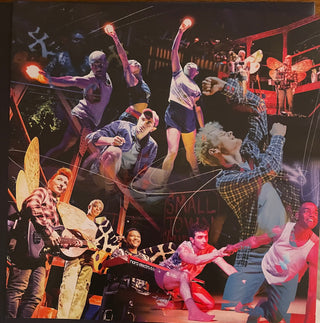 "Illinoise: A New Musical" Cast : Illinoise: A New Musical (Original Cast Recording) (LP,Album,Stereo)