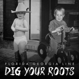 Florida Georgia Line : Dig Your Roots (LP,Album)