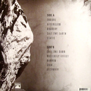 Assemblage 23 : Endure (LP, Album)