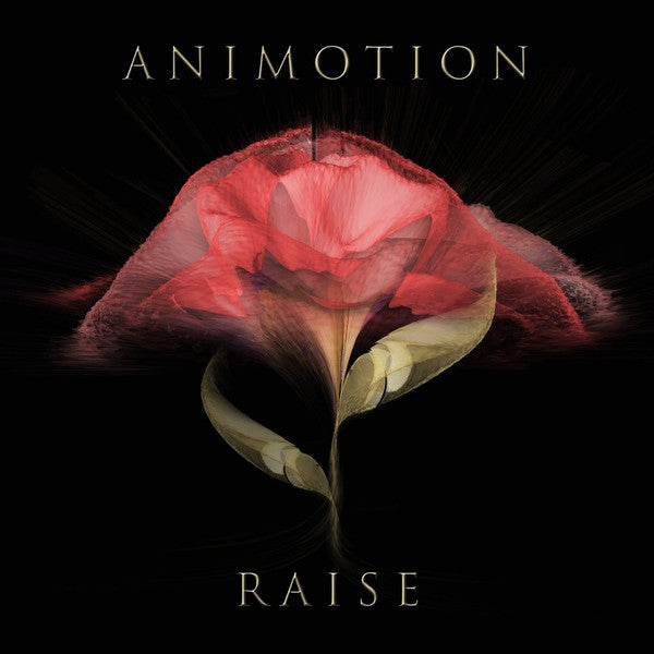 Animotion : Raise (LP, Album)