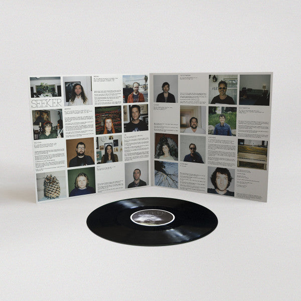 Mikal Cronin : Seeker (LP, Album)