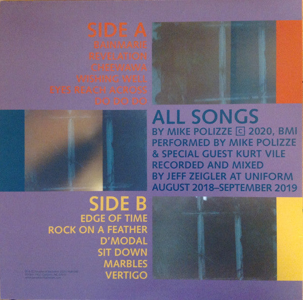 Mike Polizze : Long Lost Solace Find (LP, Album)