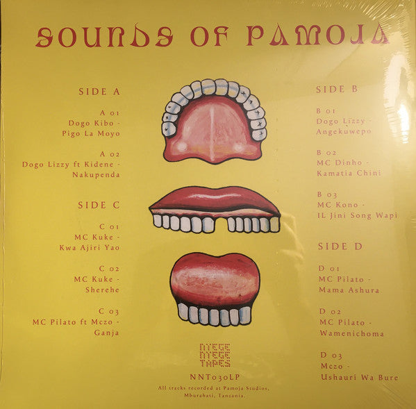 Various : Sounds Of Pamoja (2xLP, Comp, Red)