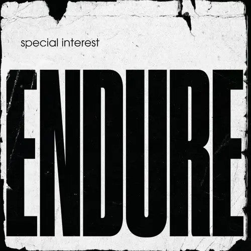 Special Interest (2) : Endure (LP)